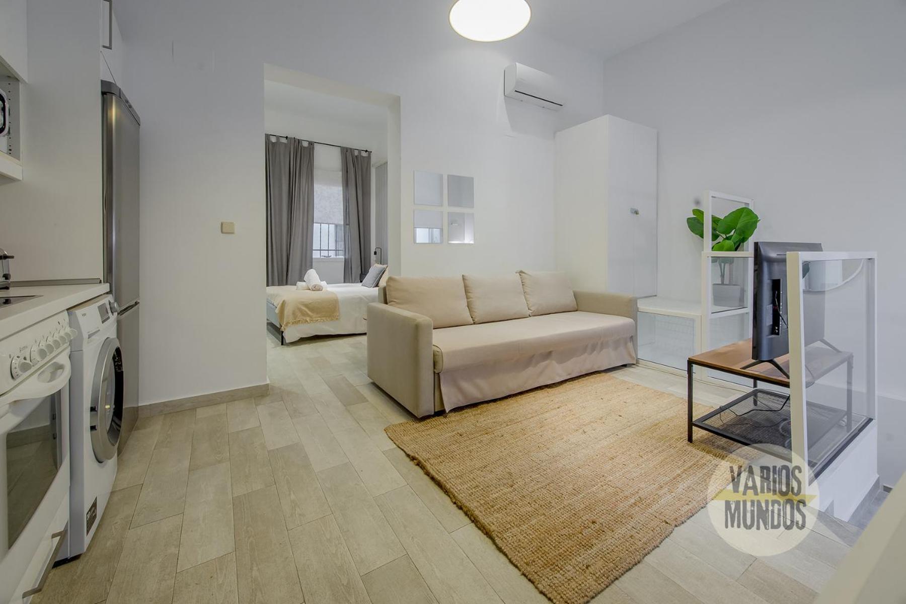 Stylish Loft With 2 Beedrooms En El Centro - La Latina E2 Apartment Madrid