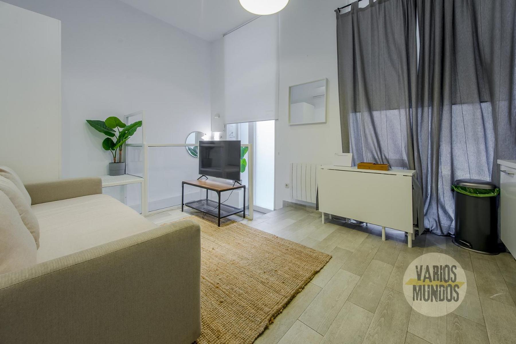 Stylish Loft With 2 Beedrooms En El Centro - La Latina E2 Apartment *